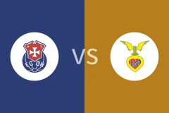 奥利维拉vs塞尔纳谢比分预测分析 2025/11/02