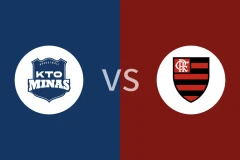 米纳斯vs弗拉门戈比分预测分析 2025/12/24