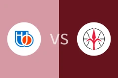 特雷维索vs泰利斯特比分预测分析 2025/11/02