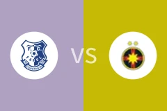 法鲁尔vs布加勒斯特星比分预测分析 2025/12/01