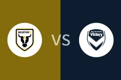 麦克阿瑟FCvs墨尔本胜利比分预测分析 2025/12/05
