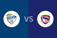 科班皇家vs米特兰比分预测分析 2025/12/01