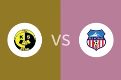 贝萨vs佩什科比比分预测分析 2025/11/28