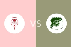 比门霍斯特vsSV索尼克斯比分预测分析 2025/11/02