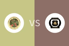 锡达马咖啡vsNIGD银行比分预测分析 2025/12/01