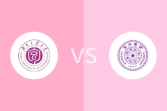 湖南工业大学vs清华大学回放录像 2025/06/02