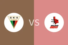 泰驰vs普隆尼亚比分预测分析 2025/11/01