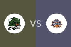 平原凯门鳄vs加勒比风暴岛比分预测分析 2025/11/03