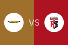 首尔三星雷电vs安养赤红火箭比分预测分析 2025/11/05