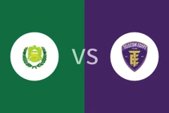 佩特雷姆vs埃及电信比分预测分析 2025/11/13