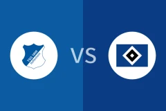 霍芬海姆vs汉堡比分预测分析 2025/12/13