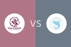 曼利沃海鹰vs萨瑟兰鲨鱼比分预测分析 2025/05/18