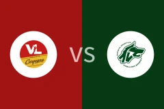 佩萨罗vs阿维利诺比分预测分析 2025/11/13