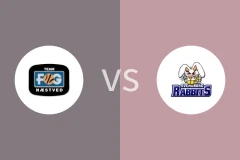 内斯提夫vs斯文堡格比分预测分析 2025/12/20