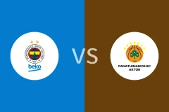 费内巴切vs帕纳辛纳科斯比分预测分析 2025/12/17