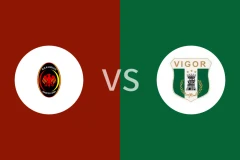 华图斯vs维哥雷兹亚比分预测分析 2025/12/21