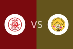 辛巴体育vs姆贝亚市比分预测分析 2025/12/05