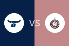 卡芬堡公牛vs维也纳篮球会比分预测分析 2025/11/03