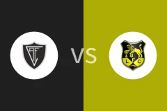 维塞乌vs路西塔尼亚比分预测分析 2025/11/05