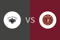 特伦托vs威尼斯雷耶比分预测分析 2025/12/14