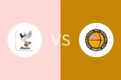 卡维纳斯女篮vs希奥利艾女篮比分预测分析 2025/11/23