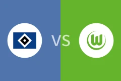 汉堡vs沃尔夫斯堡回放录像 2025/10/25