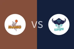 南部鲨鱼vs怀伊比分预测分析 2025/06/29