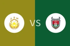 岳阳队vs湘西队回放录像 2025/11/02