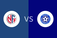 挪威vs爱沙尼亚比分预测分析 2025/11/14