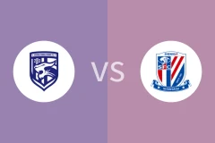 武汉三镇vs上海申花回放录像 2025/08/31