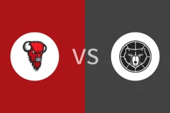 野牛vs科沃特比分预测分析 2025/12/28