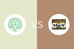 纳迪vs塔武阿FC比分预测分析 2025/07/06