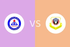 帕尔斯布什尔vs尼洛耶扎米尼比分预测分析 2025/12/12