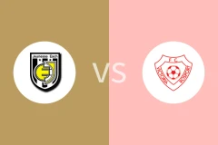 埃施青年vs维多利亚罗斯波特比分预测分析 2025/11/02