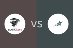 渥太华黑杰克vs斯卡布罗射击之星比分预测分析 2025/08/17