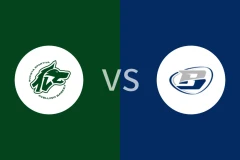 阿维利诺vs特莱维奥比分预测分析 2025/10/30