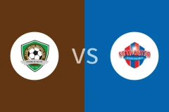 维希加联vs特兰大比分预测分析 2025/11/16