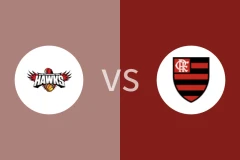 伊拉瓦拉老鹰vs弗拉门戈回放录像 2025/09/19