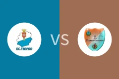 特雷维索vs查林穆尼比分预测分析 2025/11/02