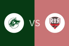 阿维利诺vs里米尼比分预测分析 2025/11/23