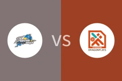 岛根魔术vs广岛蜻蜓比分预测分析 2025/12/14