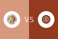 洛桑vs卢加诺老虎比分预测分析 2025/11/05