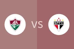 弗鲁米嫩塞vs圣保罗比分预测分析 2025/11/28