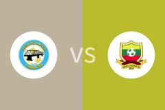 实皆联vs掸邦联比分预测分析 2025/11/16