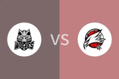 BC沃夫vs马萨基爱比分预测分析 2025/05/22