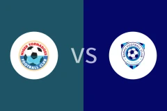 尼日尔FCvs巴拉乌比分预测分析 2025/12/28