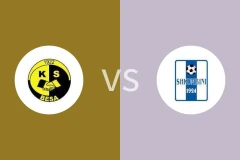 贝萨vs萨克比尼比分预测分析 2025/10/15