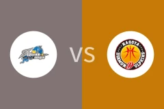 岛根魔术vs名古屋钻石海豚比分预测分析 2025/12/27