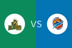 上海玄鸟vs焦作文旅回放录像 2025/12/30