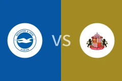 布莱顿vs桑德兰比分预测分析 2025/12/20